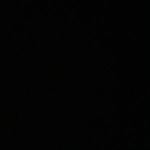 Meet your Posher, Esme